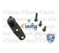 VAICO Giunto Frontale per Renault Twingo II Megane Scenic Nissan Kubistar