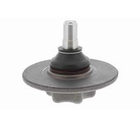 VAICO Giunto Sferico Anteriore Superiore Adatto per Opel Movano Pritsche/Telaio