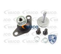 VAICO Giunto Sferico Doppio Anteriore Inferiore Per Volvo V70 II S60 I