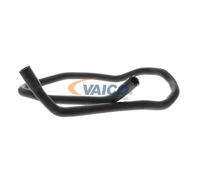 VAICO per VW Golf IV Hatchback (1J1) Flessibile radiatore