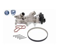 Vaico Pompa Acqua + Kit Cinghia Distribuzione per Audi Cupra Seat Skoda VW