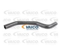 VAICO Radiatore Linea-Raffreddamento per Opel Movano Pritsche/Telaio V46-0901