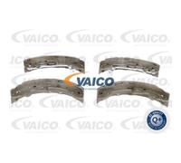 VAICO Set Di Freni Posteriori Per Ford Focus II Turnier DA_ FFS
