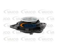 VAICO Supporti Ammortizzatore Anteriore SX per Renault Clio III BR0/1 CR0/1
