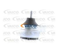 VAICO Supporto Motore Destro Per Ford Focus Turnier DNW 1.6 16V 1.8 DAW DBW