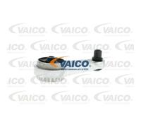 VAICO Supporto Motore Posteriore Gommometallo Per Renault Kangoo KC0/1 D 55 1.9