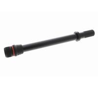 VAICO Tramoggia Asta controllo livello olio V10-6647 per VW GOLF VI (5K1)