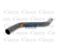 VAICO Tubi Di Raffreddamento Adatti Per VW Golf I II V10-0053