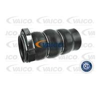 VAICO Tubo Aria Compressa per Citroën Berlingo 1.6 HDi 90 C4