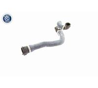 VAICO Tubo Del Radiatore Per BMW Serie 5 6 Cabriolet V20-1767