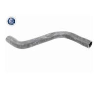 Vaico Tubo Del Radiatore Per Renault Megane Scénic