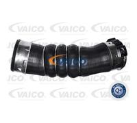 VAICO Tubo di Aspirazione Adatto A per BMW 1er E87 120d E82 V20-3491 Nuovissimo