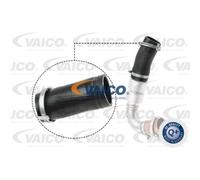 VAICO Tubo di Aspirazione Adatto per Ford Kuga II DM2 2.0 TDCI 4x4 WA6 V25-1036