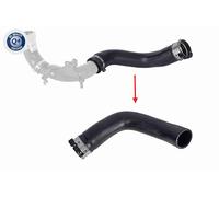 VAICO Tubo di Aspirazione per Dacia Sandero II Logan MCV Renault Clio IV Grand
