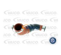 VAICO Tubo Intercooler Adatto Per Audi A4 Avant 8ED B7 2.0 TDI 16V 8EC
