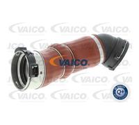 VAICO Tubo Intercooler Adatto Per BMW Serie 5 Touring E61 535D E60 635D V20-2716