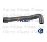 VAICO Tubo Intercooler Adatto Per Fiat Doblo Cargo 223 1.3 D Multijet 263