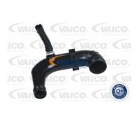 VAICO Tubo Intercooler Per Fiat Idea 1.3 D Multijet Punto Lancia Ypsilon Musa