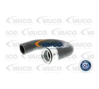 VAICO Tubo Intercooler Per Opel Corsa C F08 F68 1.3 CDTi Combo Tour W5L
