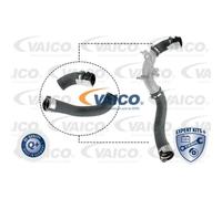 VAICO Tubo Intercooler Per Renault Captur J5_ Clio IV BH_ KH_ Dacia Dokker