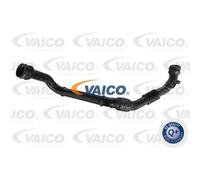 VAICO Tubo Intercooler Per Renault Kangoo Express FW0/1 Kangoo/Grand KW0/1