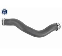 VAICO Tubo Intercooler Per Volvo V40 Berlina 525