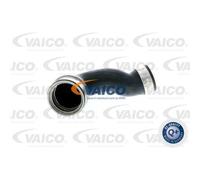 VAICO Tubo Intercooler Per VW Transporter V Bus 7HB 7HJ 7EB 7EJ 7EF 2.5 TDI