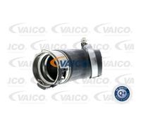 VAICO Tubo Intercooler Per VW Transporter V Bus 7HB 7HJ 7EB 7EJ 7EF 7EG