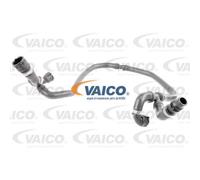 VAICO Tubo Radiatore Adatto Per BMW 5 Serie Touring V20-1304