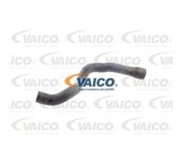 VAICO Tubo Radiatore Condotto Uscita Inferiore Per Opel Astra G CC V40-1342