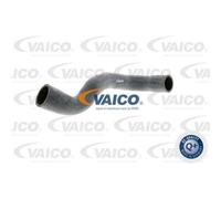 VAICO Tubo Radiatore Inferiore Adatto per BMW 3er Compatto Z3 Roadster V20-1235