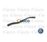 VAICO Tubo Radiatore Linea-Raffreddamento Inferiore Adatto A per Opel Vectra B