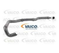 VAICO Tubo Radiatore Linea-Raffreddamento per Citroën Scatola Berlingo V22-0508