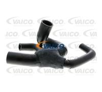 VAICO Tubo Radiatore Linea-Raffreddamento per Renault Rapid Cassone Clio I