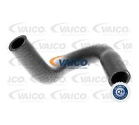 VAICO Tubo Radiatore Linea-Raffreddamento per VW Golf IV Cabriolet III Variant