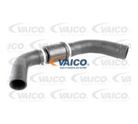VAICO V25-1126 Flessibile radiatore
