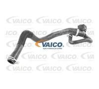 VAICO Tubo Radiatore Per Ford Kuga II DM2 C-Max DXA/CB7 DXA/CEU
