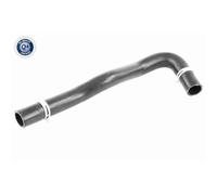 Vaico Tubo Radiatore per Ford Transit Cuscino Di