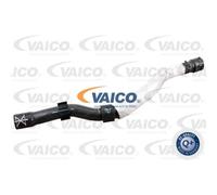 VAICO Tubo Radiatore Tubo Di Raffreddamento Per Audi TT Roadster V10-4760