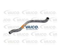 VAICO Tubo Radiatore Tubo Di Raffreddamento Per VW Passat Variant V10-3200