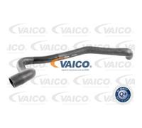 VAICO Tubo Radiatore V10-4650 Compatibile Per VW Transporter IV Bus