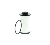 VAICO V10-0440 Filtro Olio di Trasmissione con Trasmissione DSG