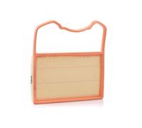 VAICO V10-0668 Filtro aria