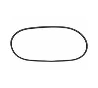 VAICO - V10-0891 - Guarnizione, Parabrezza - Adatta Per VOLKSWAGEN 113845121B