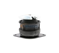 VAICO V10-1255 Supporto motore