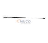 VAICO V10-1962 Ammortizzatore pneumatico cofano motore