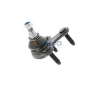 VAICO V10-3120 Testina braccio oscillante