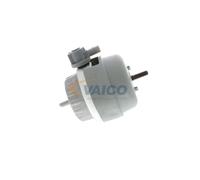 VAICO V10-3134 Supporto motore