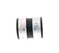 VAICO V10-3765 Flessibile aria alimentazione per VW Golf IV Schrägheck (1J1)