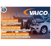 VAICO V10-3865 Carter, Filtro olio per AUDI,VW